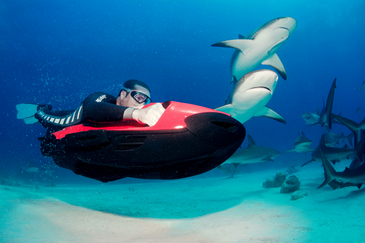 Shark diving with the SEABOB